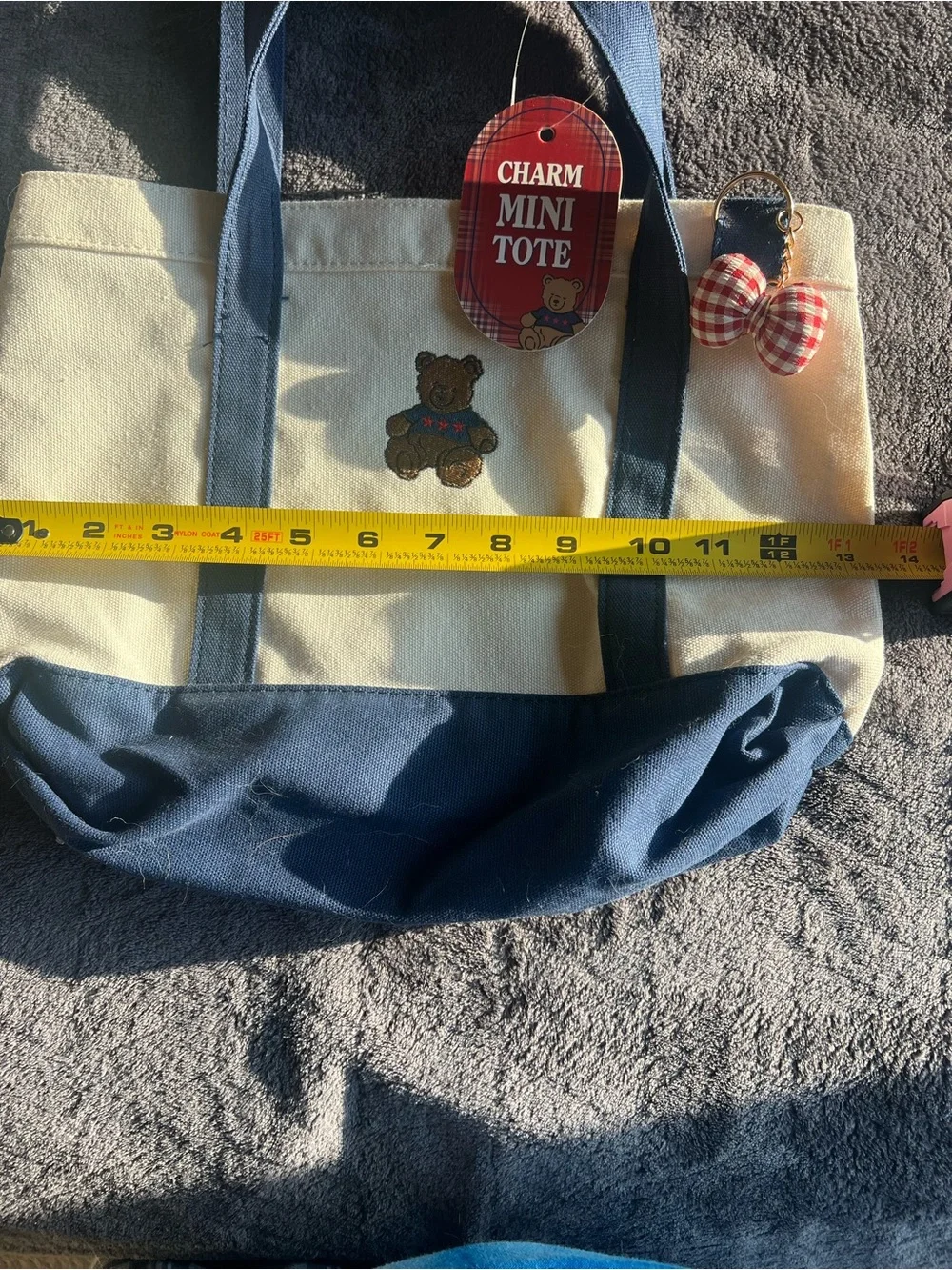 Charm Mini Tote Canvas Bag in Cream and Navy